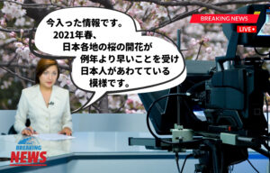 今入った情報です。2021年春、日本各地の桜の開花が例年より早いことを受け日本人があわてている模様です。