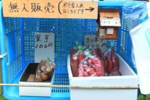 旬の野菜や果物を販売する無人販売所